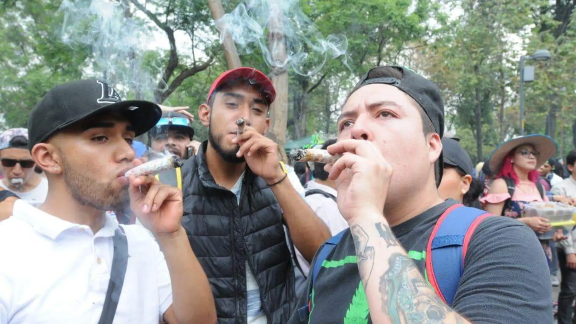 marcha marihuana 2019 cdmx ernesto muñoz (2)